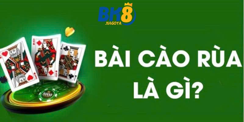 Bài Cào Rùa Cách Chơi Đơn Giản Từ Các Chuyên Gia Chia Sẻ 3 Cách chơi bài Cào Rùa đúng cách